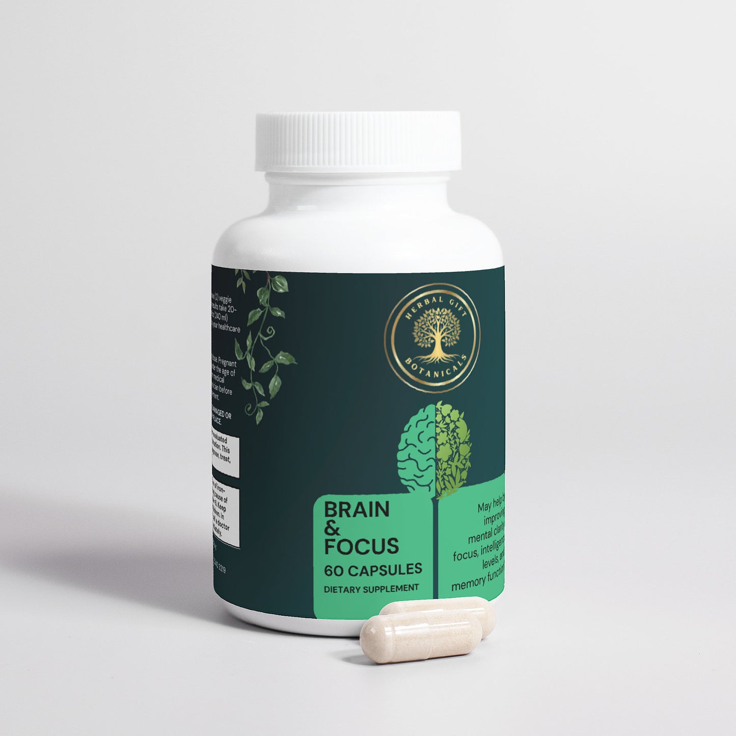 Brain & Focus
